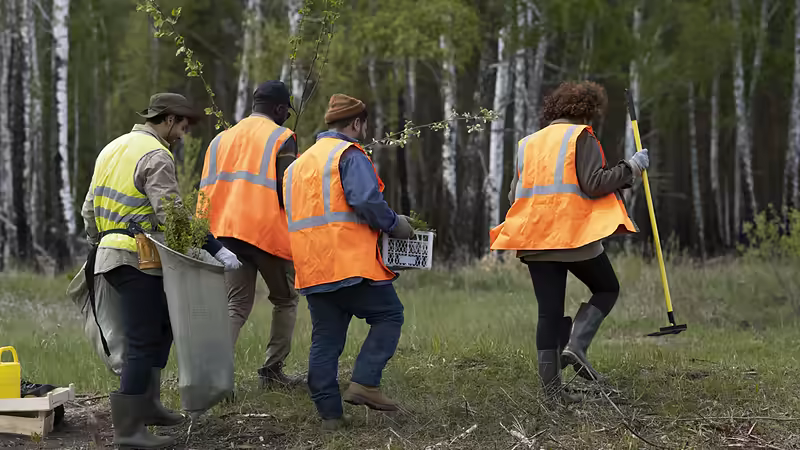 Équipe en gilets de sécurité plantant de jeunes arbres en lisière de forêt, projet environnemental